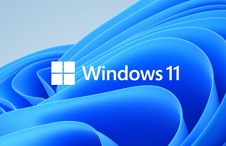 Windows 11 - Logo